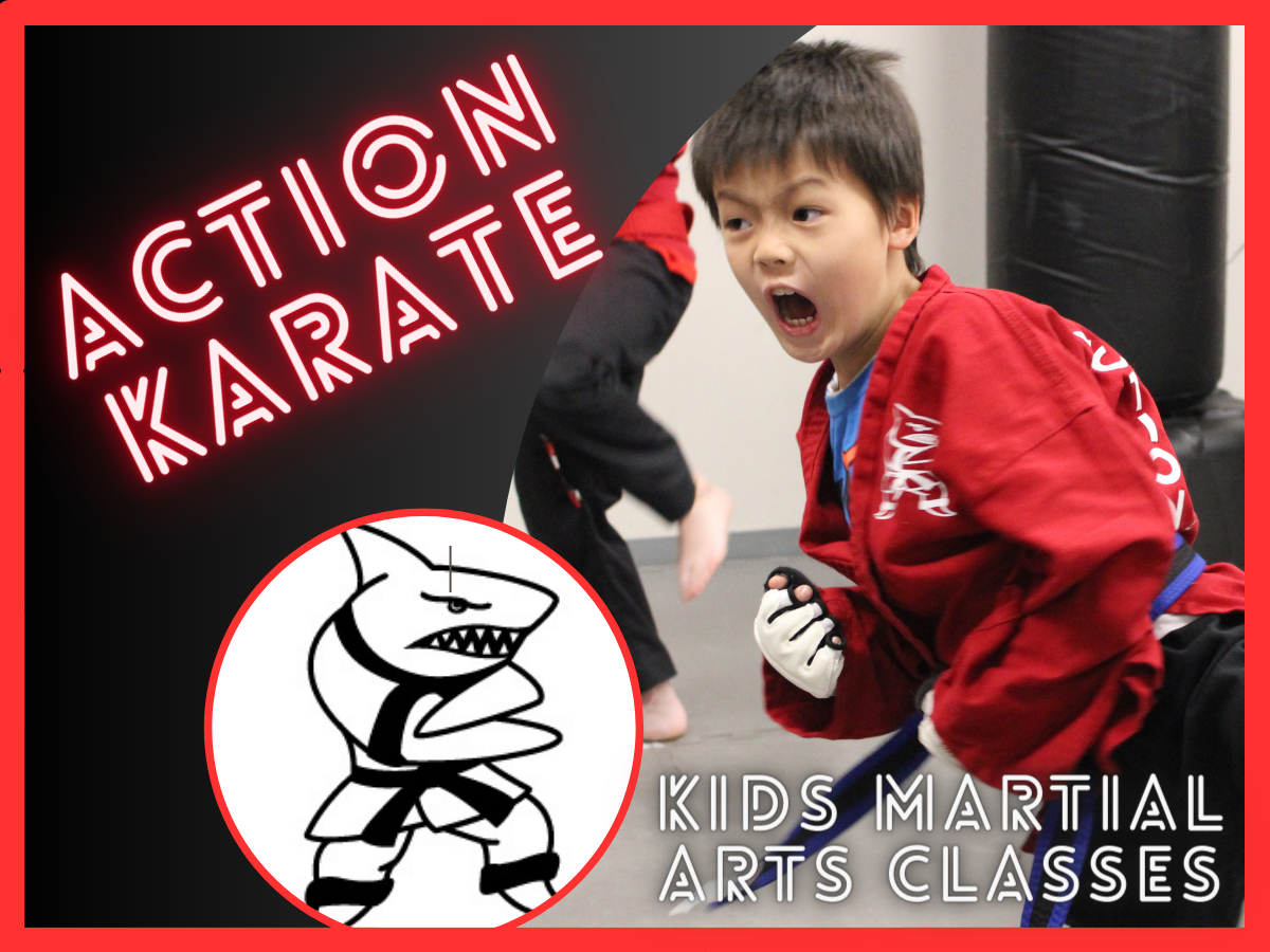 Action Karate Northern Liberties